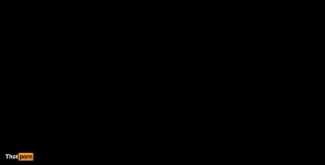 8297204
