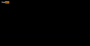 8297215