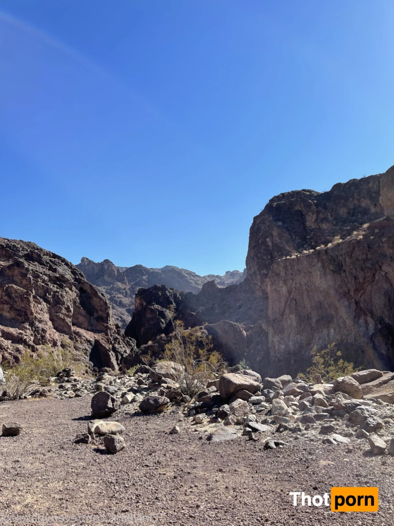 Everly Haze 16009592