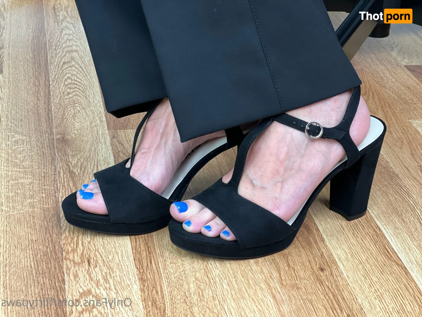 Flirty Paws 15923170