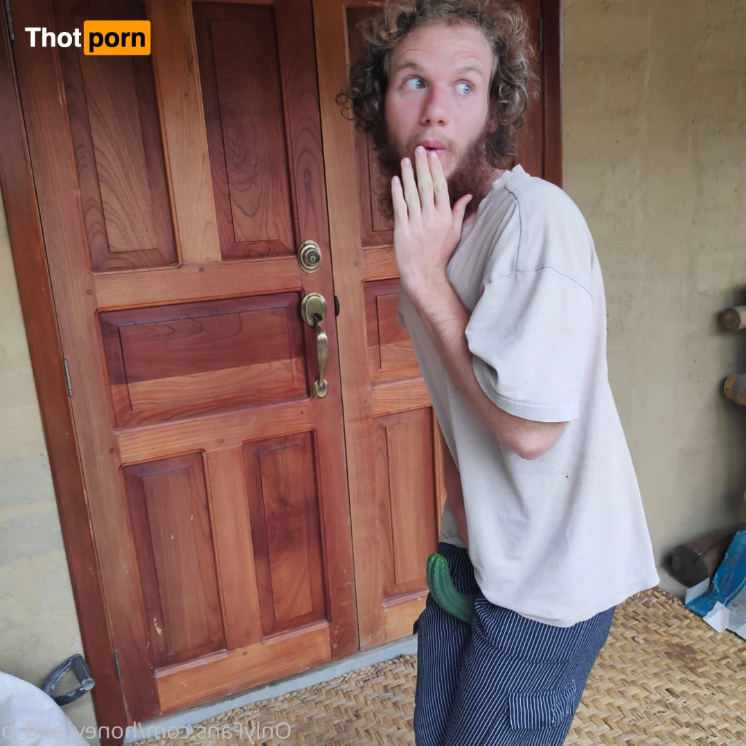 Honey and B 16321526