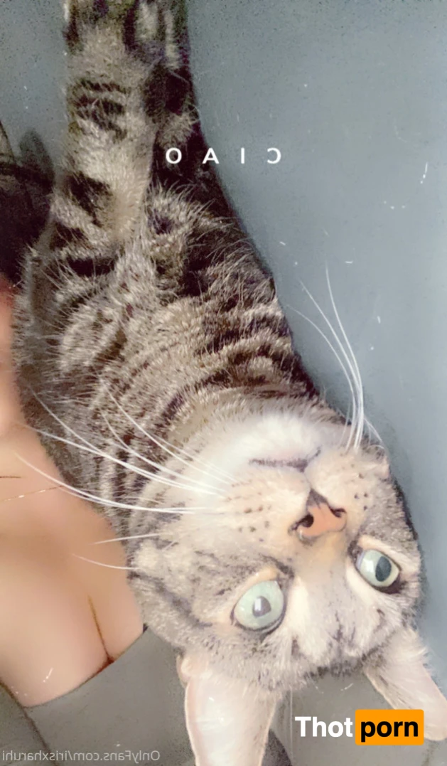 💗𝙂𝙚𝙞𝙨𝙝𝙖 da 𝙆𝙞𝙩𝙩𝙚𝙣💦 16074875