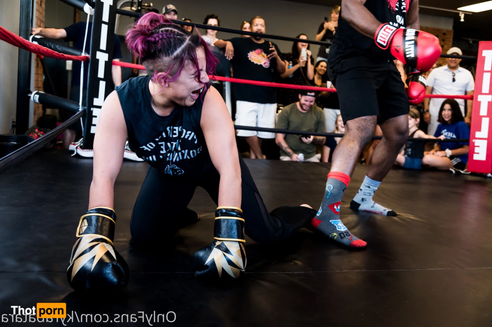 Mogwai  👑 9390539