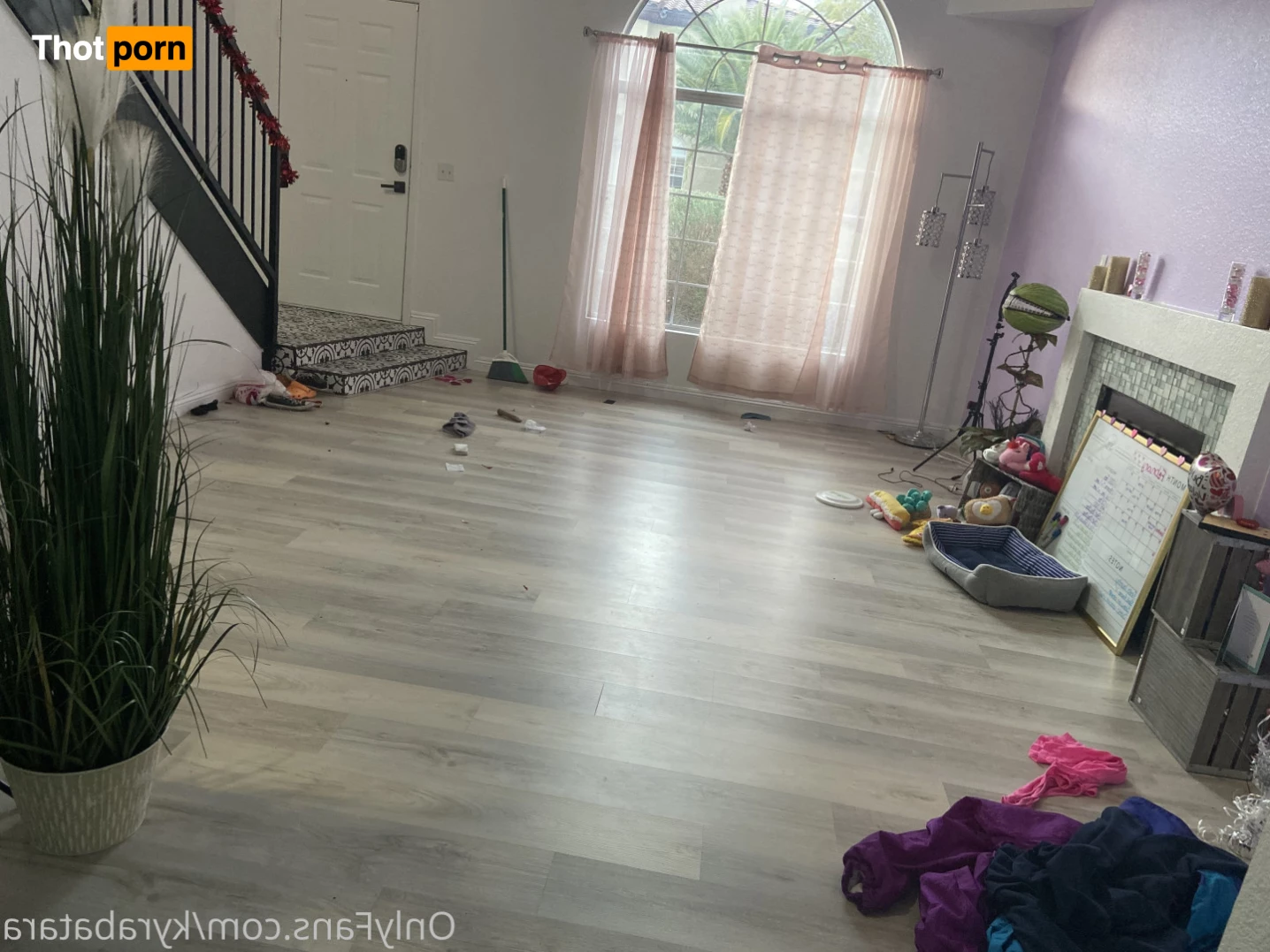 Mogwai  👑 9390578