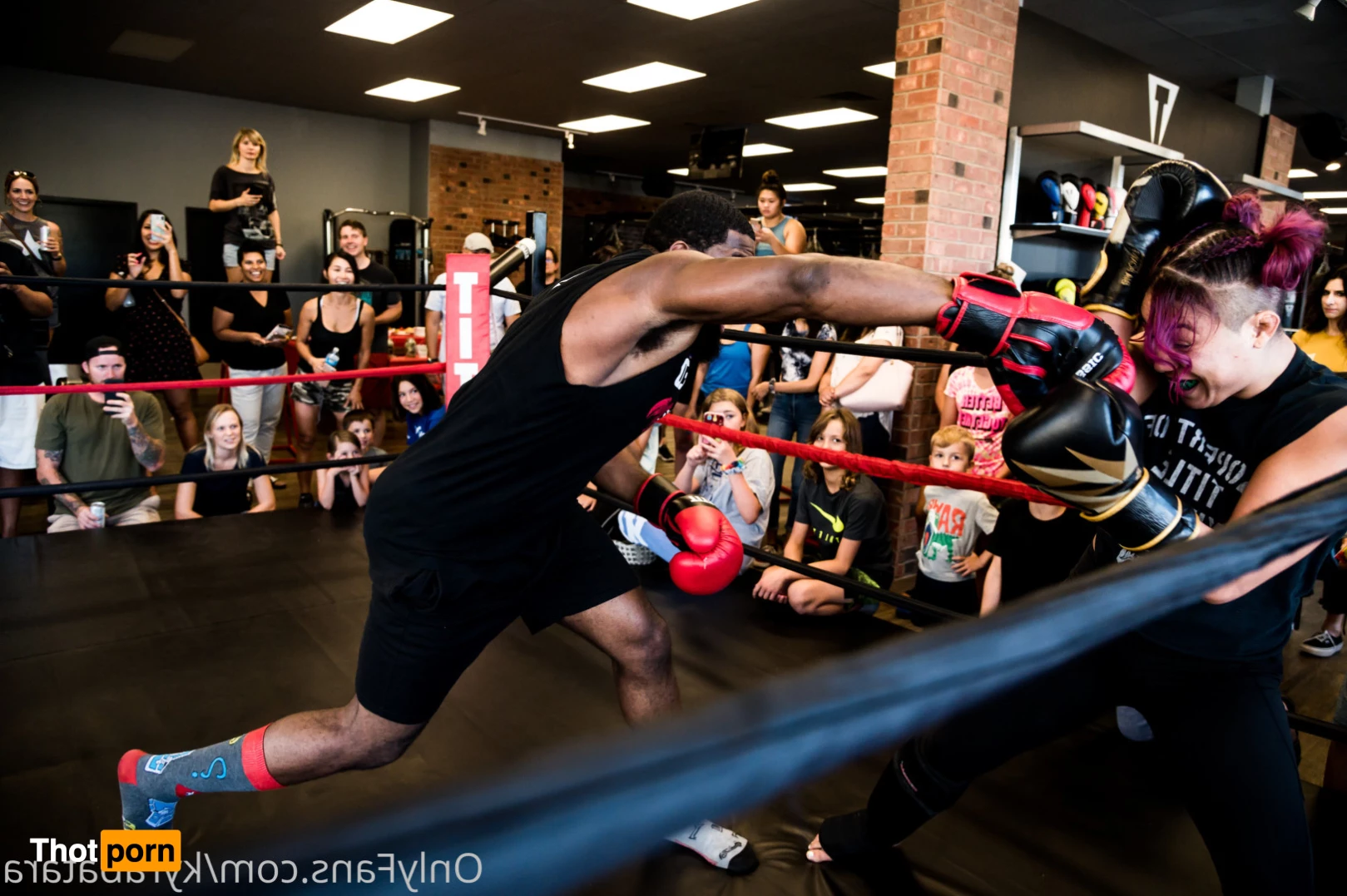 Mogwai  👑 9390652