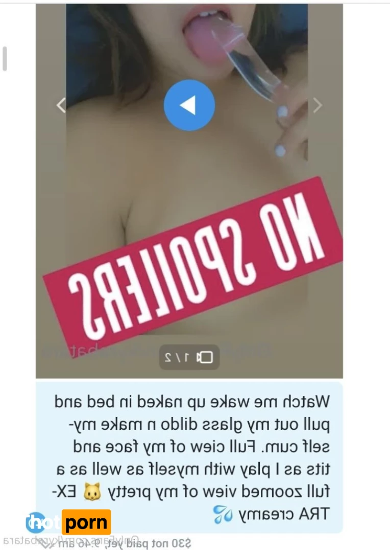 Mogwai  👑 9390722