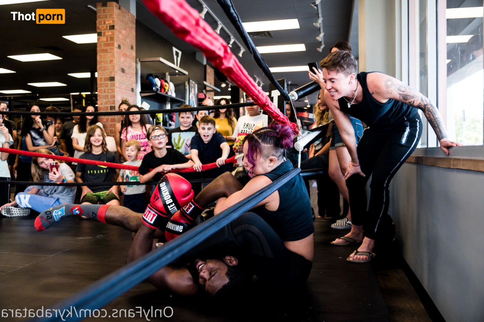 Mogwai  👑 9390768