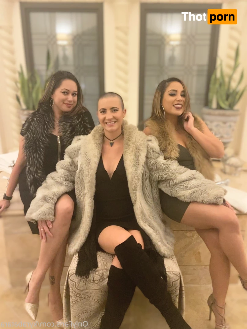 Mogwai  👑 9390893