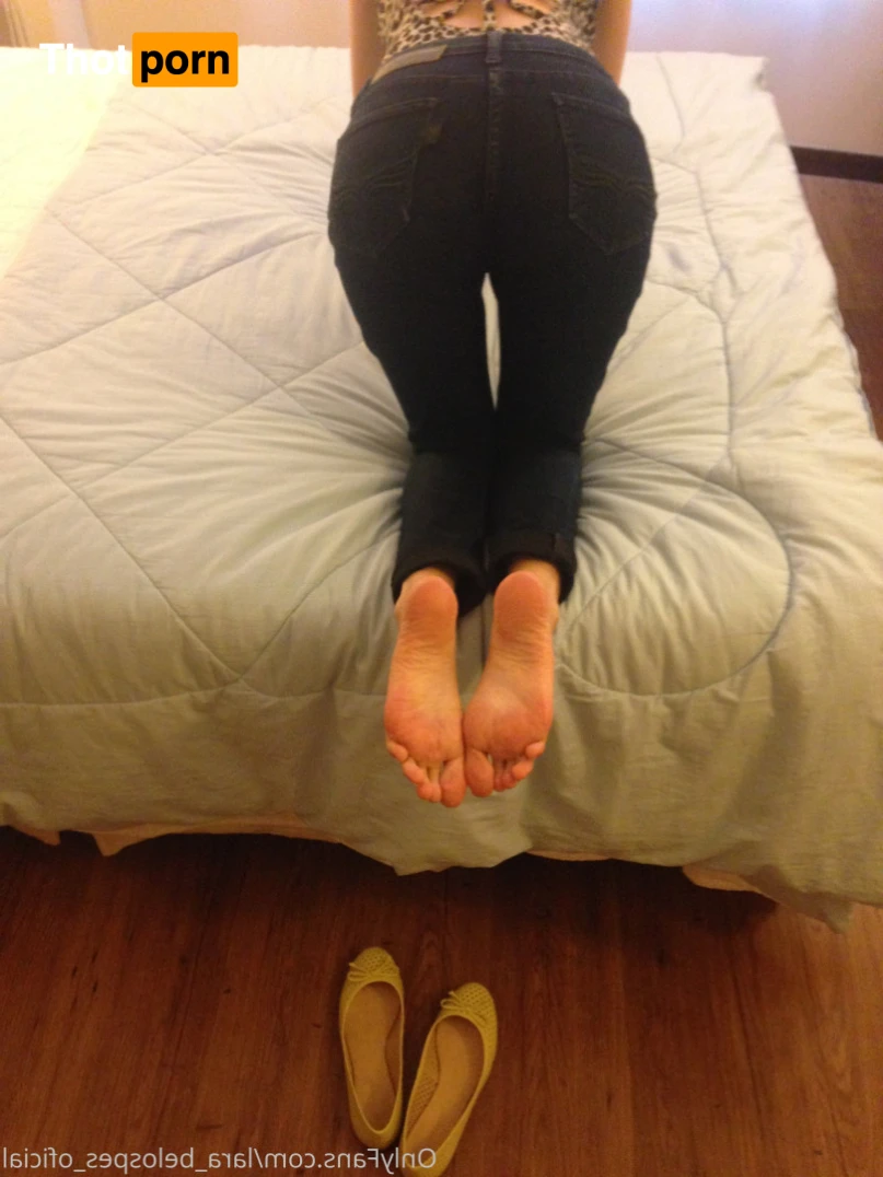 lara_belospes_oficial 14338607