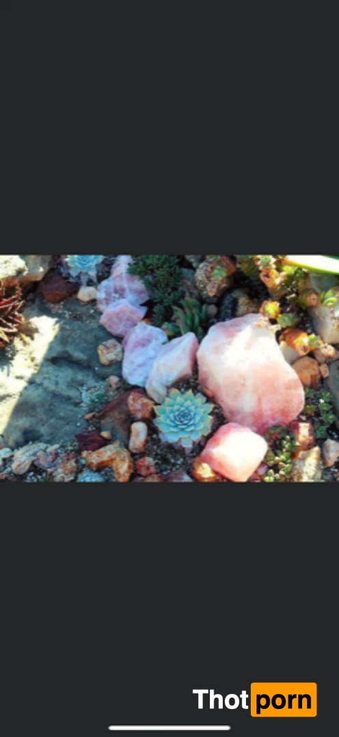 Mackenzie Ford 11505882