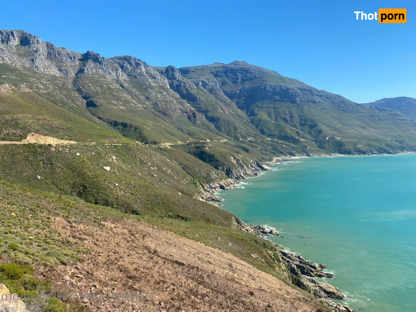 Alexandra Thorn 13331949