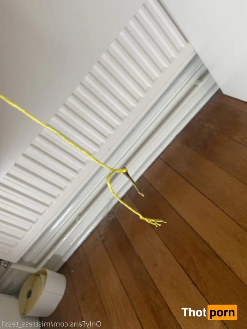 Mistress Tess 13830058