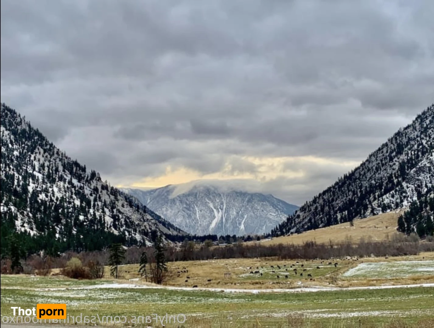 Misty ✨Your Little GF &amp; Med Student✨ 13958414