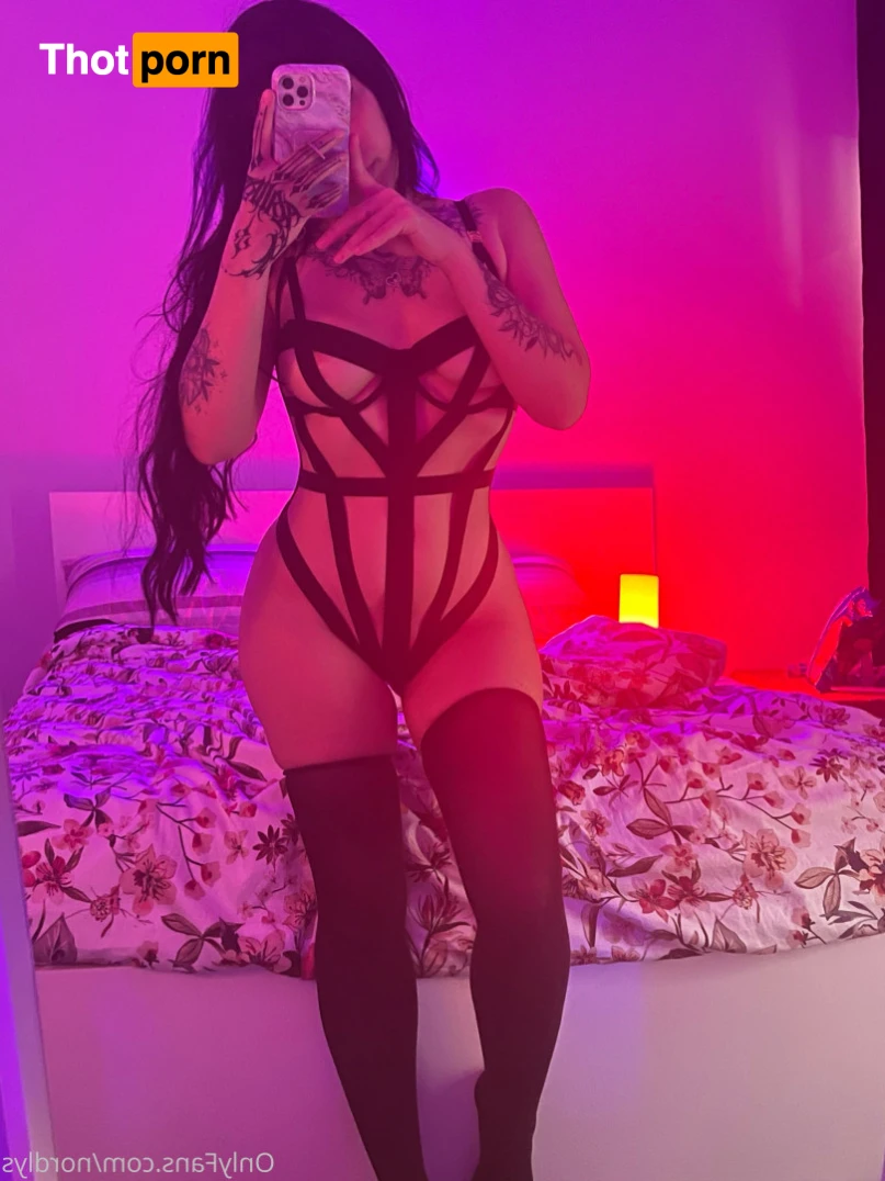 𝒏𝒐𝒓𝒅𝒍𝒚𝒔 ⛓ 16538027