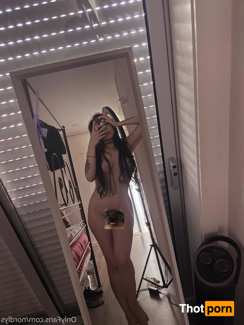 𝒏𝒐𝒓𝒅𝒍𝒚𝒔 ⛓ 16541726