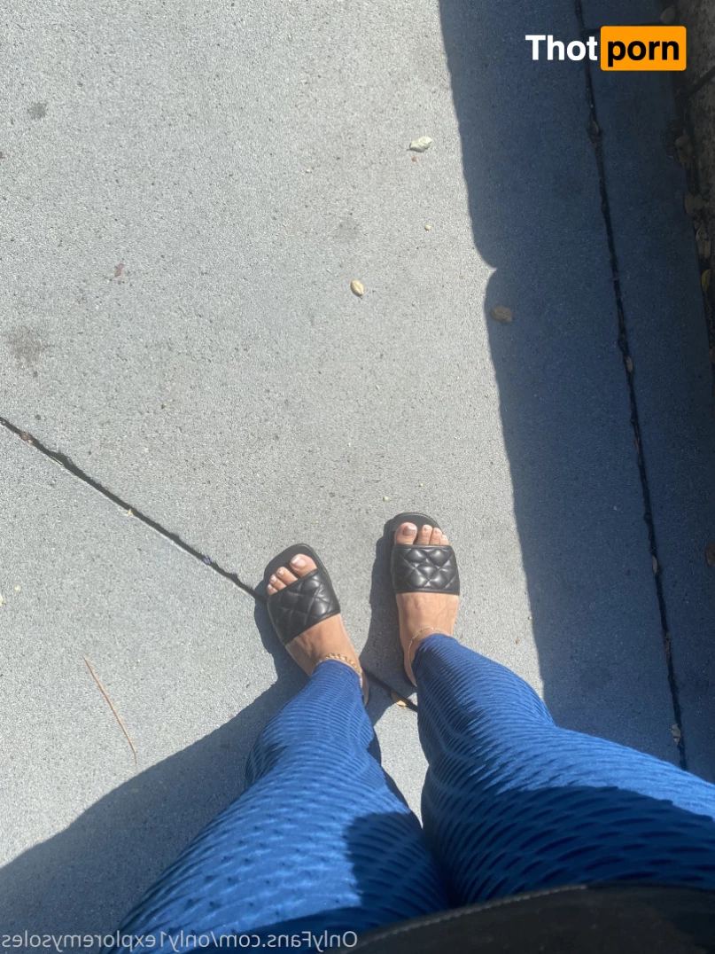 ExploreMySoles 8975829