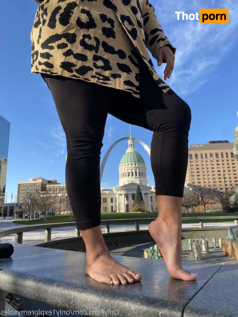 ExploreMySoles 8975968