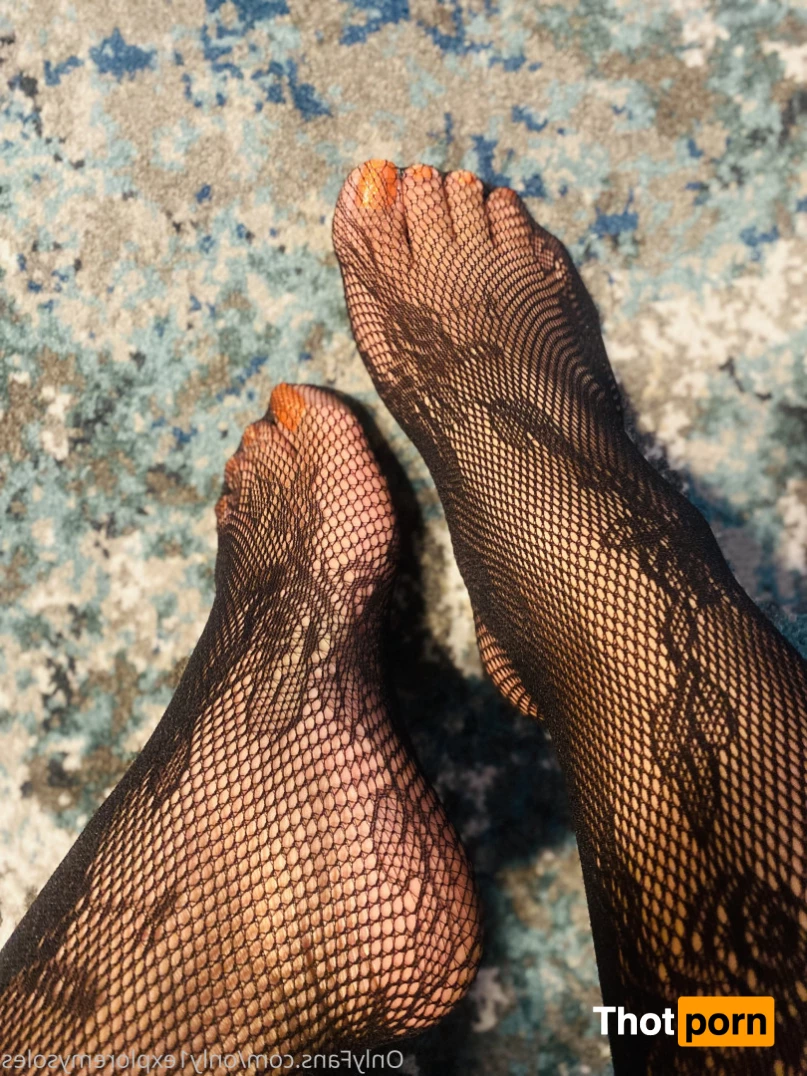 ExploreMySoles 8976181