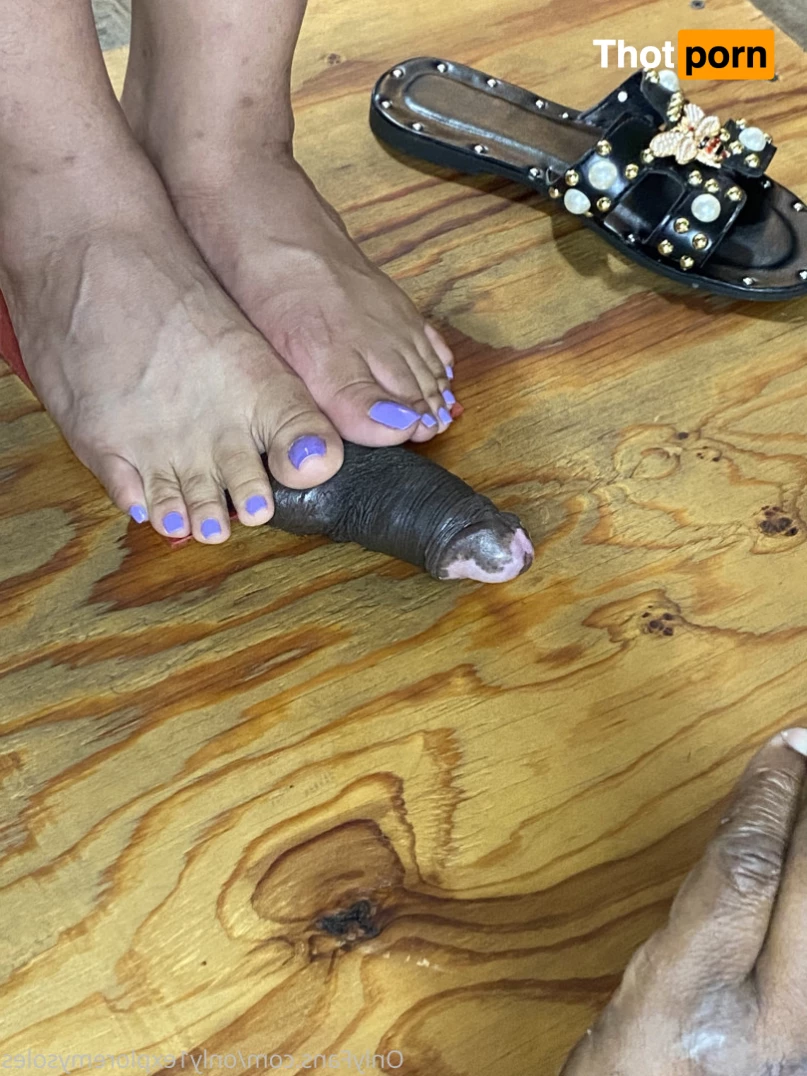 ExploreMySoles 8976191