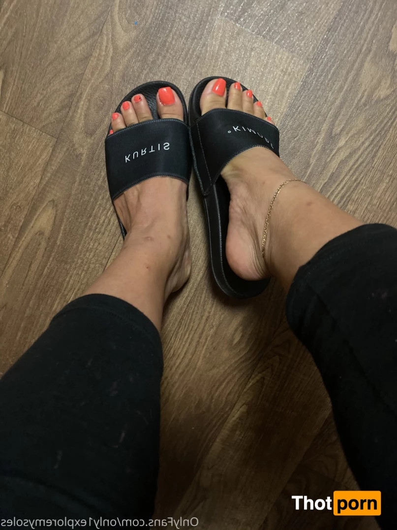 ExploreMySoles 8976351