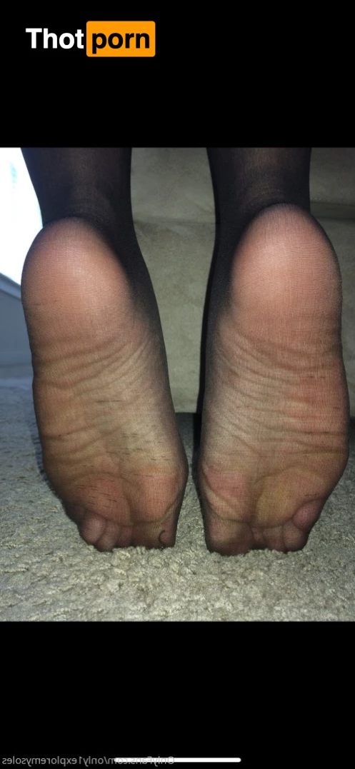 ExploreMySoles 8976372