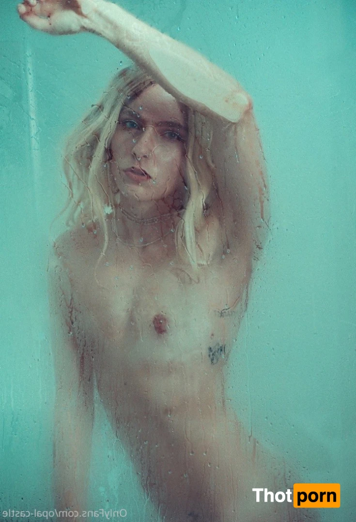 Opal's Castle 12609494