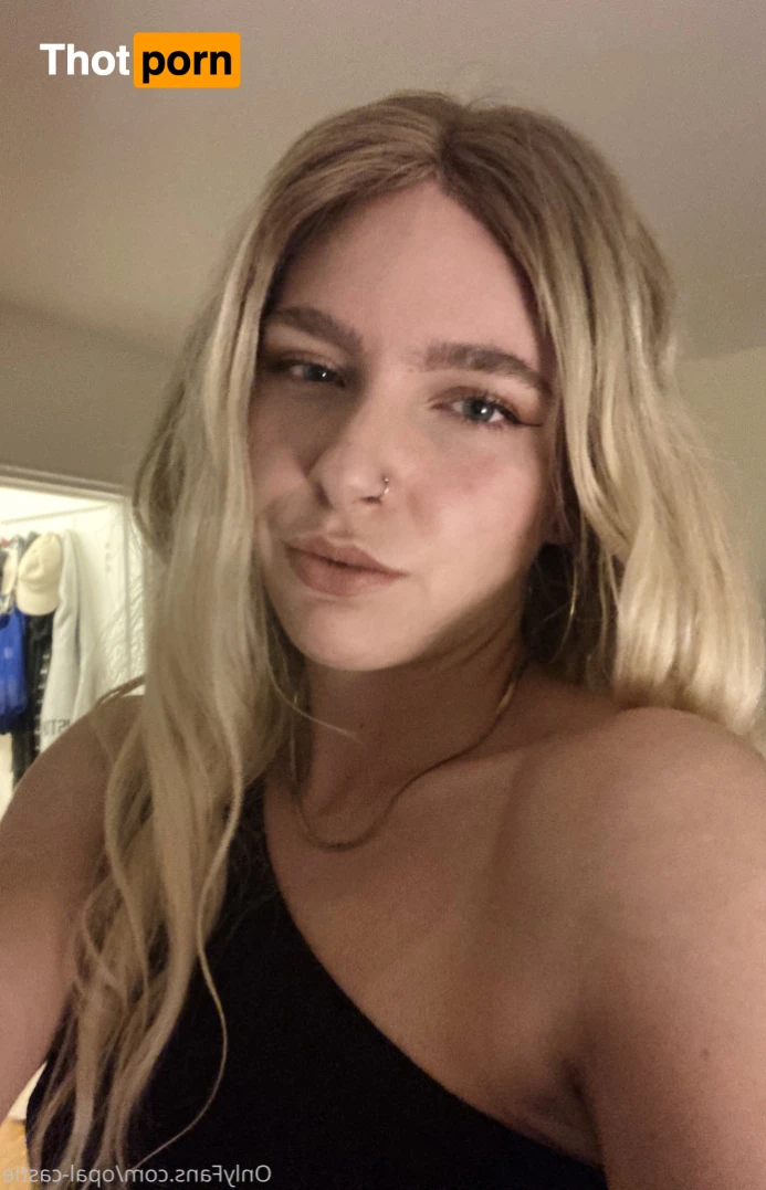 Opal's Castle 12609901