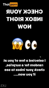 11381675