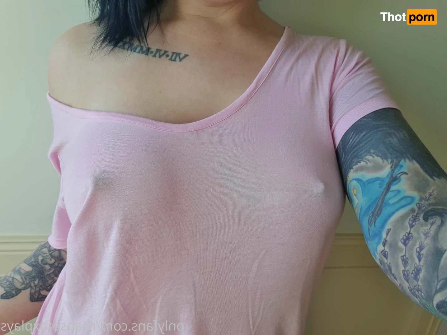 Rhapsofox Plays 16241772