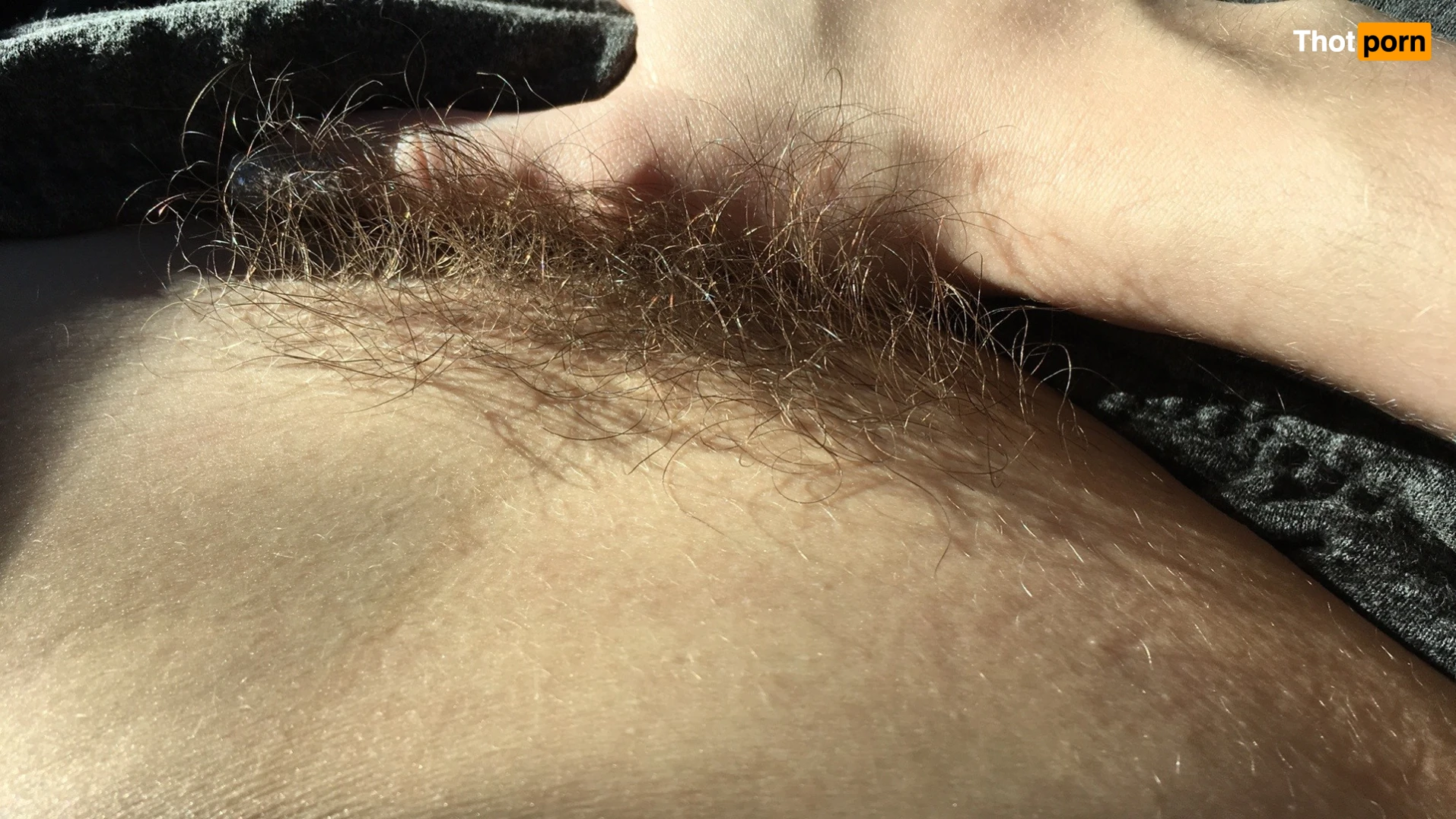 Samantha Hayes $5 𝘀𝗮𝗹𝗲 16184134