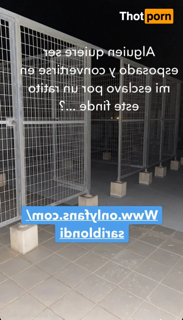 Blondie 🏳️‍⚧️ 12186948