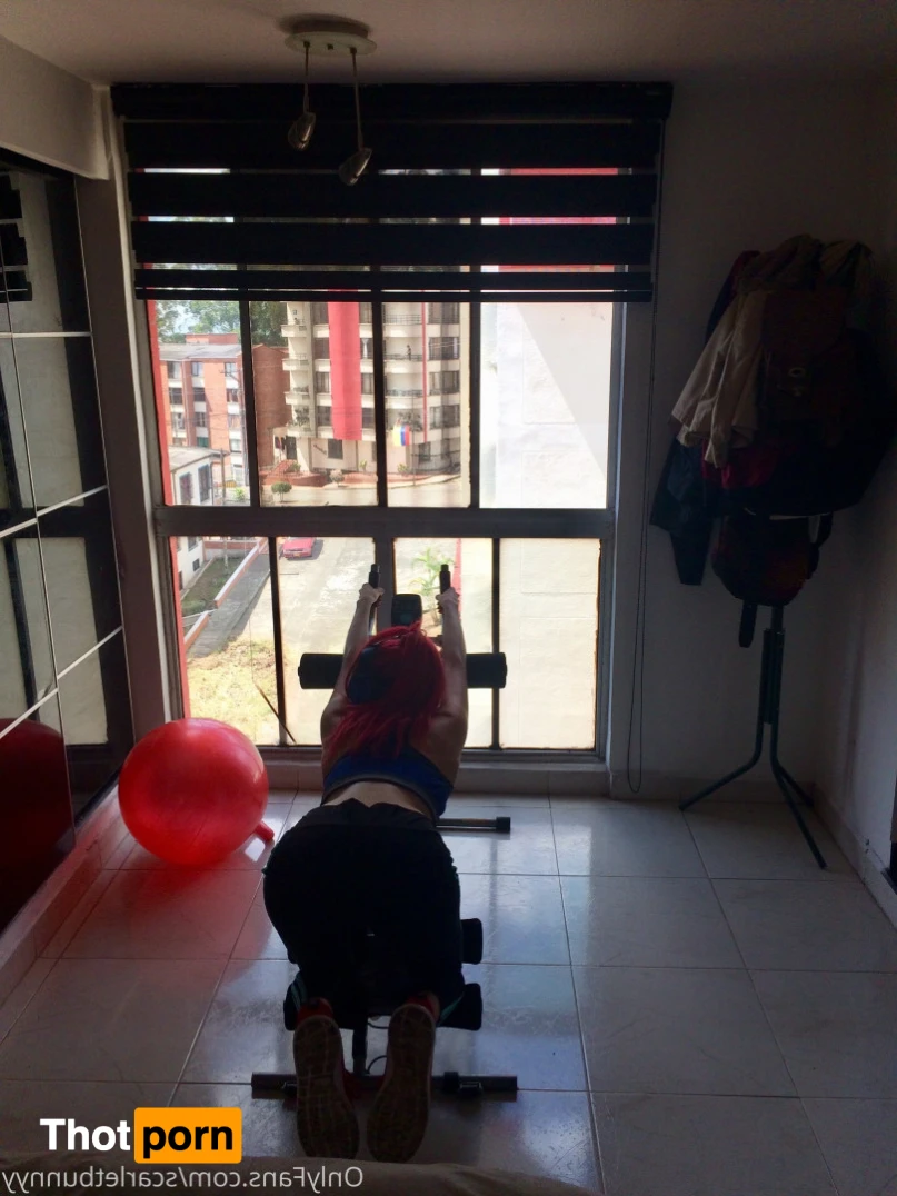 ScarletBunny 16360890