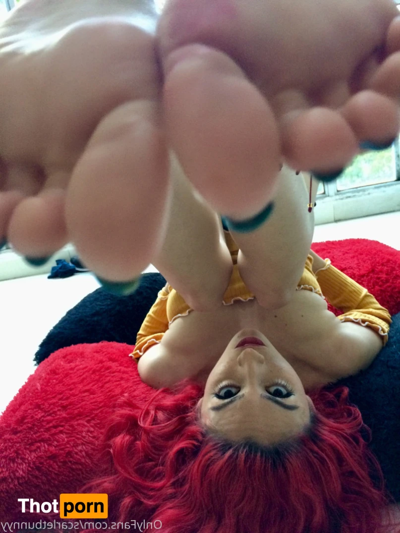 ScarletBunny 16361932