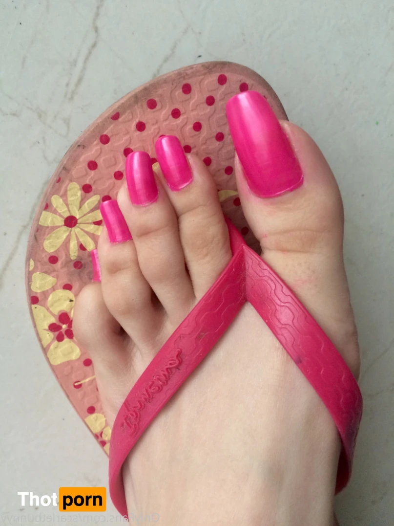 ScarletBunny 16363959