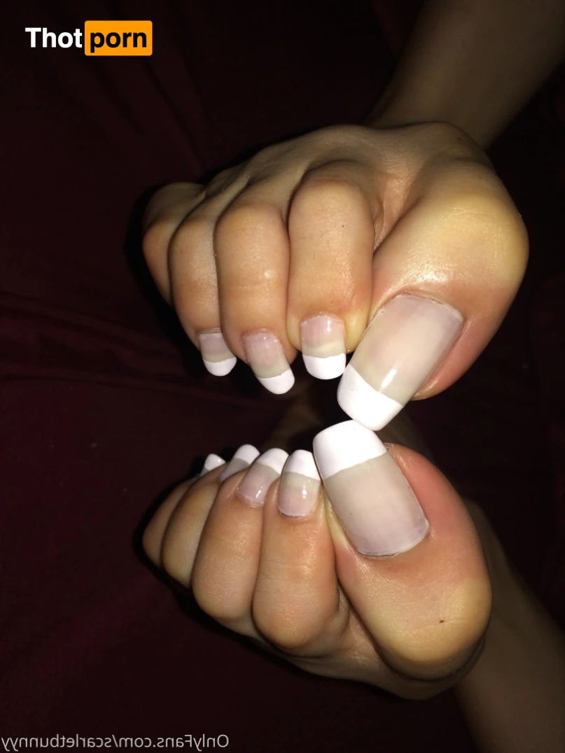 ScarletBunny 16366946