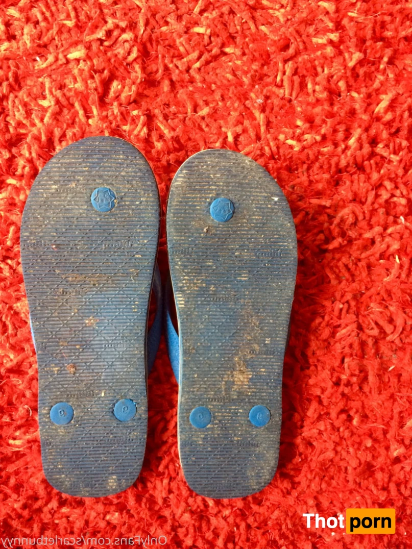 ScarletBunny 16367952