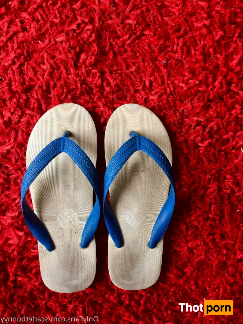 ScarletBunny 16377759