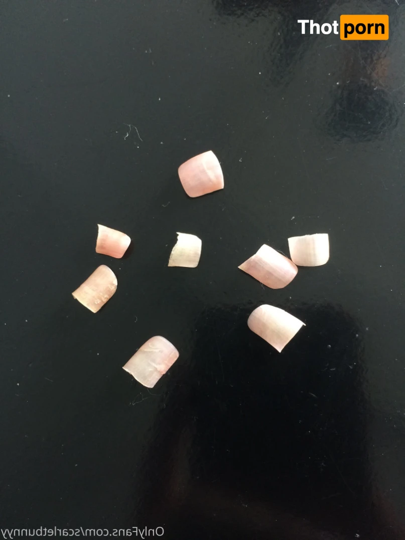 ScarletBunny 16389258