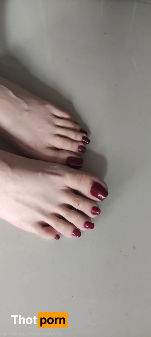 ScarletBunny 16396116