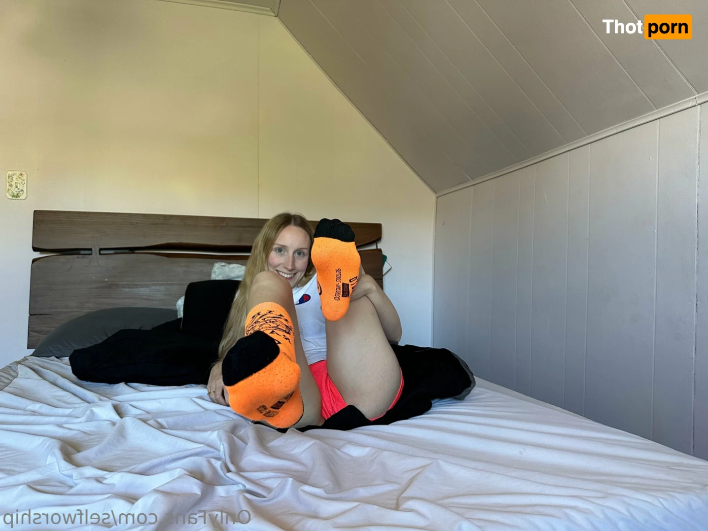 $ M I L F money $ 16083921