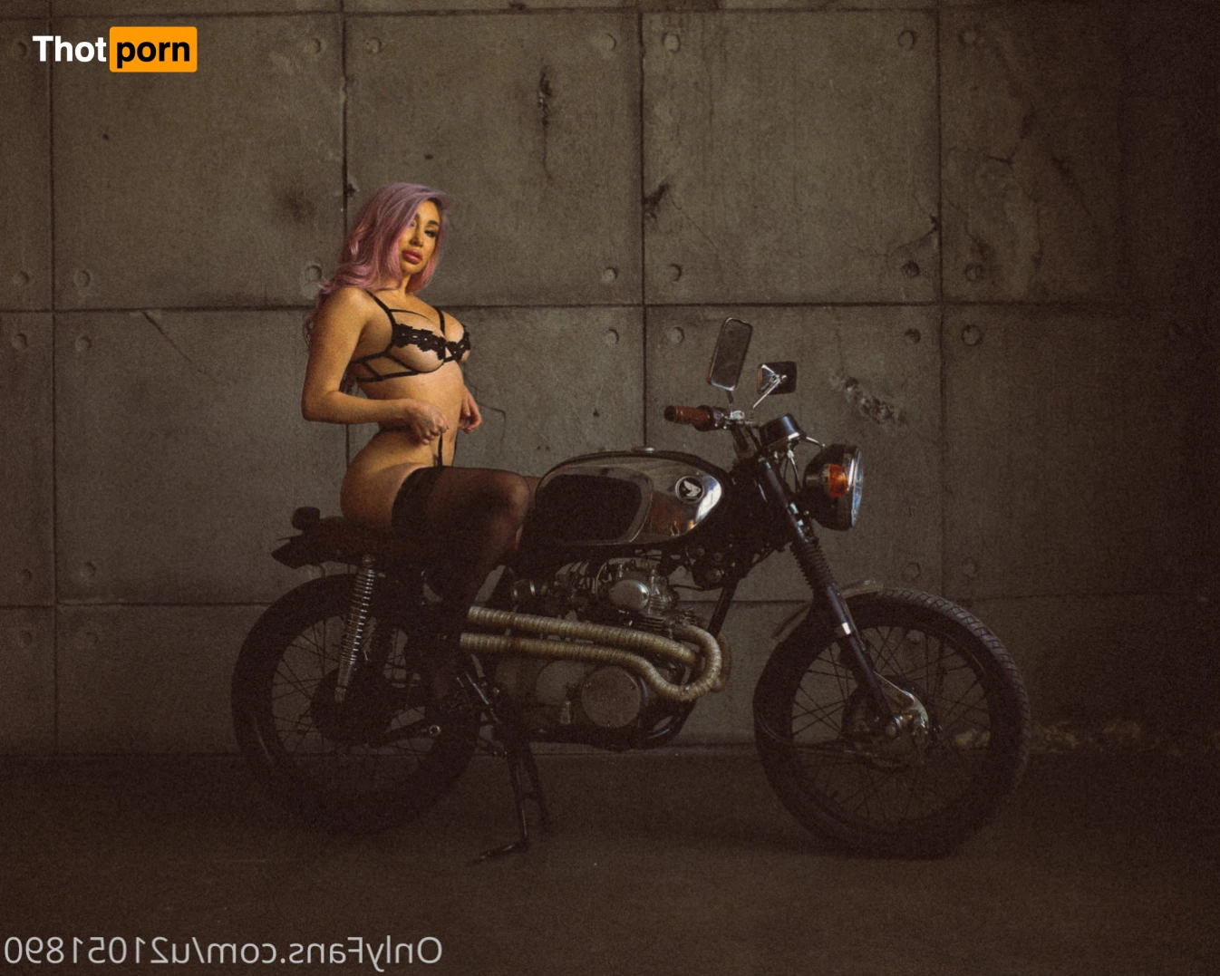 serinaballerina 16027012