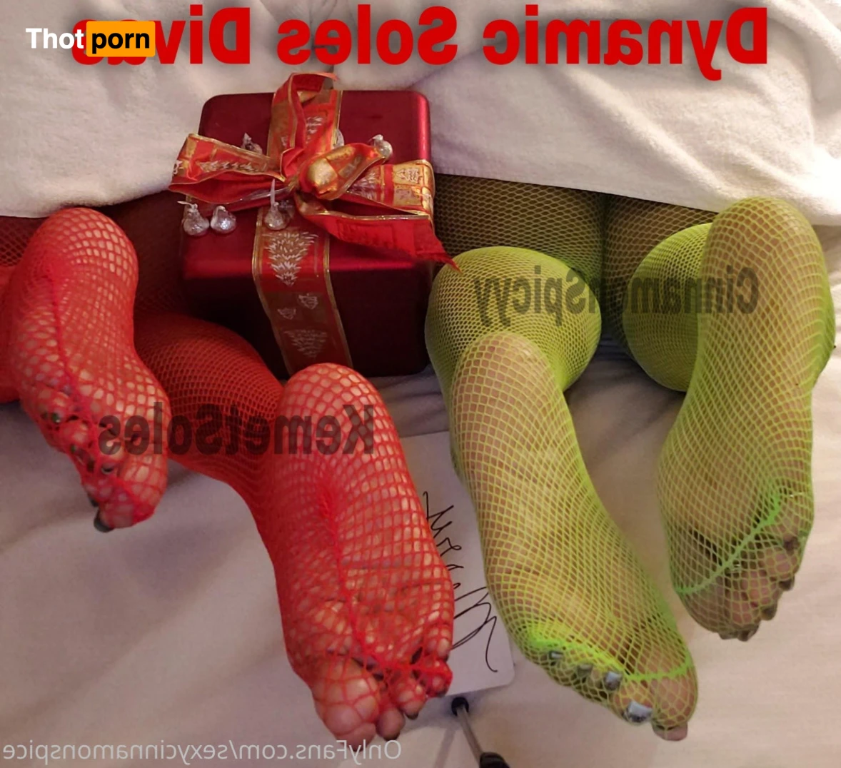 510Cinnamon_spicyy 16531786