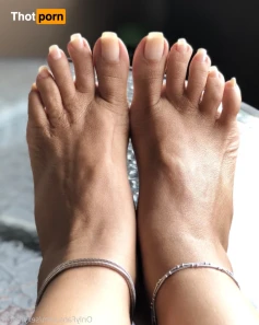 16025271