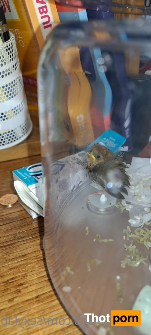 교미연구소 7876594