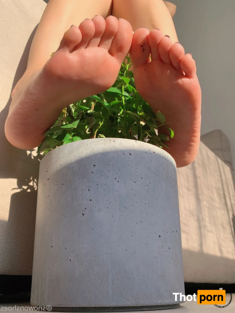 snowonshoes 15623589