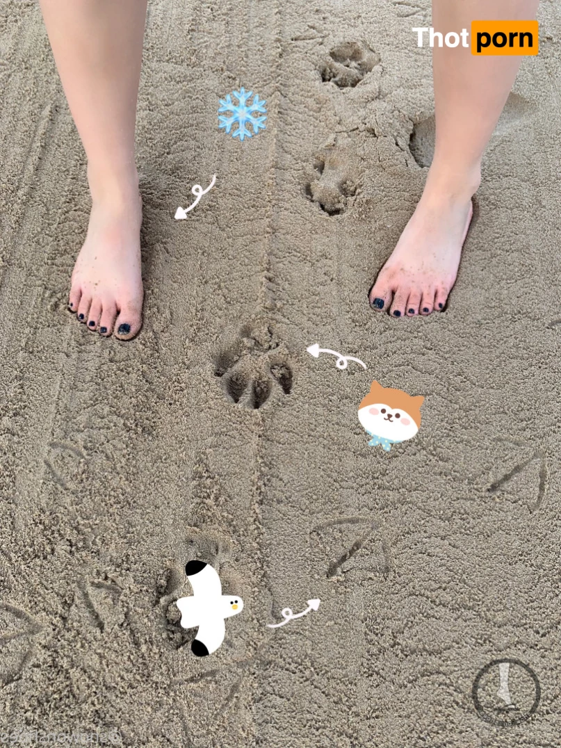 snowonshoes 15643388