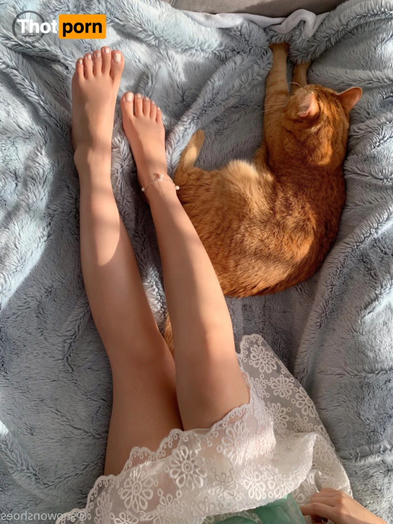 snowonshoes 15647675