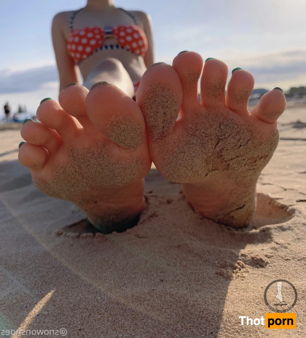 snowonshoes 15649750