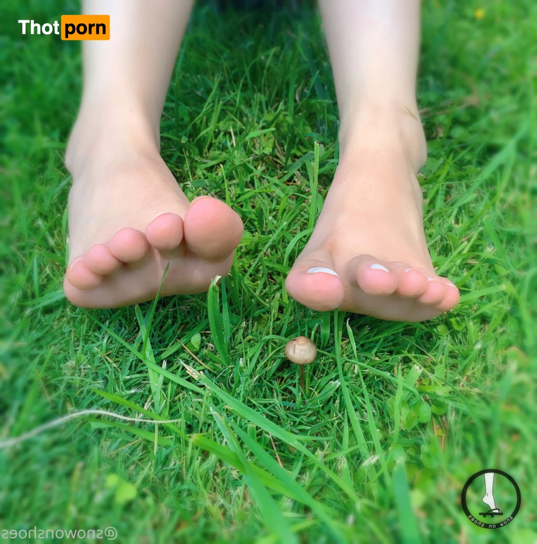 snowonshoes 15667526