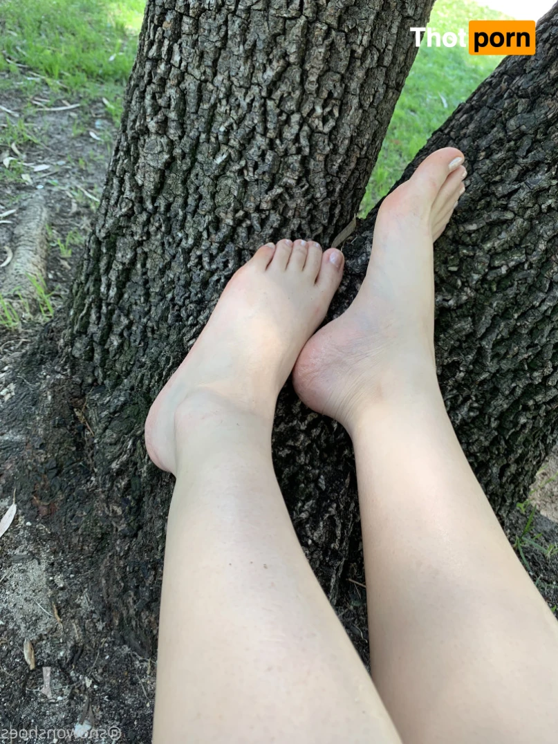 snowonshoes 15707901